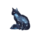 Kitty club, for cat people