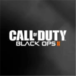 Call of Duty: Group