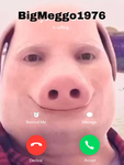 SHREK!2