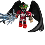 team wiz