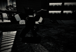 *+~ The ParaNormalies ~+*