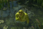 #TeamShrek