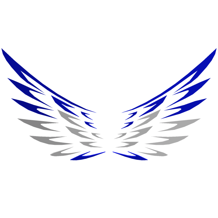 Winter wings ❄️ 1/10
