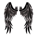 The falling angel group