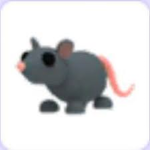 Rat Group For Life!