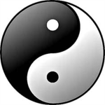 davidrenzo35 dojo