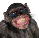 Funni Monkey Club