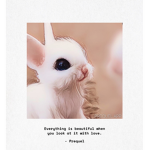 ~ Aesthetic bunny’s ~