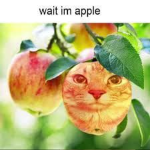Wait Im Apple