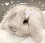 ~sTaRYTs group~<3