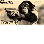 The Gangsta Monkeys