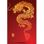 Fire dragon taekwondoe