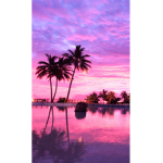 SUNSETS<3SQAUD