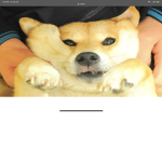doge mention
