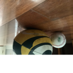 Sean’s sports group