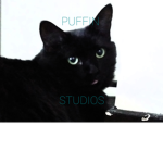 PUFFIN STUDIO'S