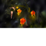 Magical Flower