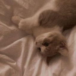 ❀