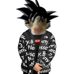 Te noob club