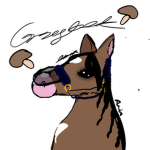 - EQUESTRIANS -