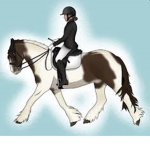 ~ Evergreen riding academy ~