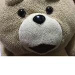 TEAM TED