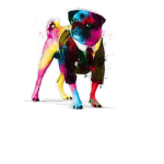 #Pug Nation