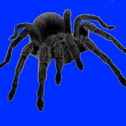 Giant spider icon