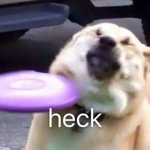 de OOF gang
