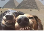 Nilxl2dc