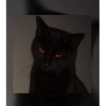 <3 dh