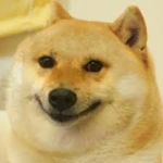 DOG CLUB BOI!!!