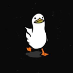 Ducks my guy