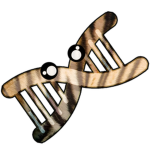mofiex