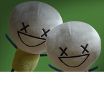 Happiness is dead cult