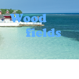 Wood fields [NEW CARS AND HOUSES]