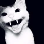 EvErYtHiNg IS FUNNY!!