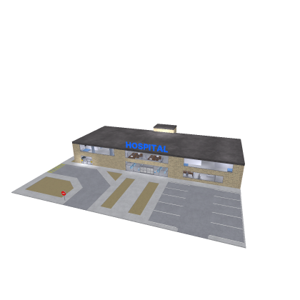 The Hospital (with scripts)
