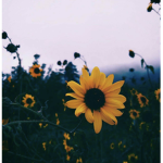 eclectic <3