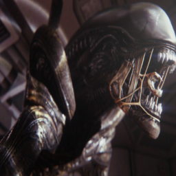 Alien: Hide And Seek