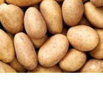 Couch Potato Club