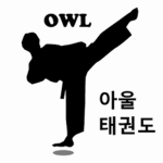 아울 태권도