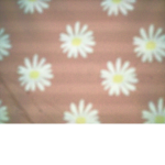 Pinky1234