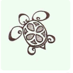 Turtle Baby!