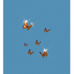 Butterflies Rule:)