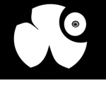 The Phantom Eyes