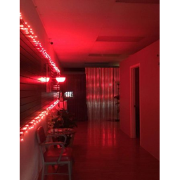 Vibe Check Bar
