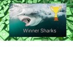 Winner Sharks
