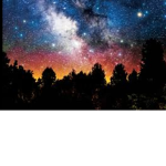 Space Vibes the group