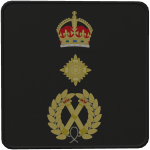 CoLP Right Arm Patch